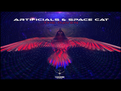 Artificials & Space Cat - The Raven