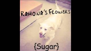 We Go Live - Ramona&#39;s Flowers