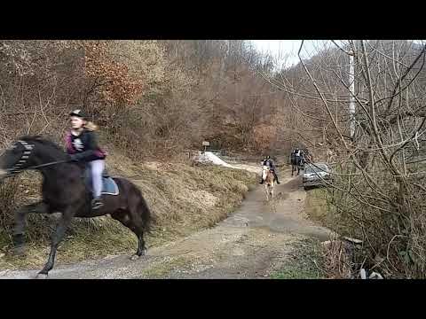 Planinski konj.Jahanje u prirodi.