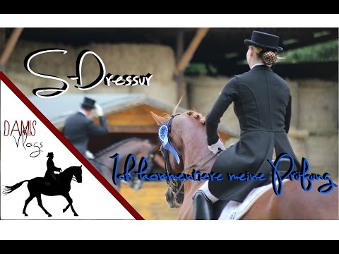 S-Dressur - [Ich kommentiere meine Prüfung selbst]