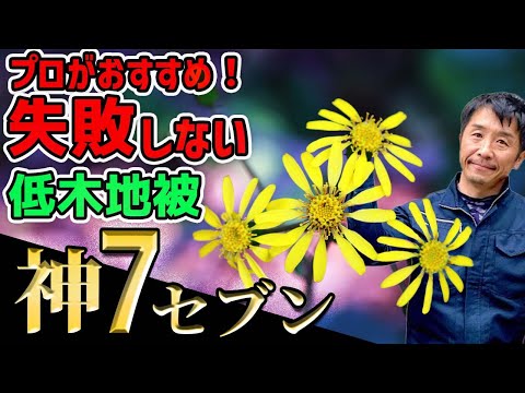 裏庭の人気のない空間を明るくするにはどうすればよいでしょうか？北にどの低木を植えますか？  庭園