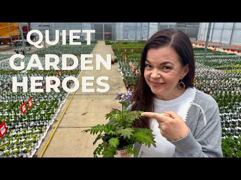 Underrated Perennial Edit 🌿 Quiet Garden Heroes That Deserve More Attention
