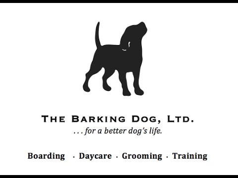 The Barking Dog, Ltd.