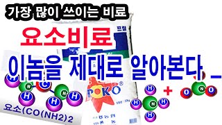 요소비료, 이놈을 제대로 알아본다.-요소비료 만드는 과정, 요소비료 성질, 요소비료 역할, 유기질 비료 이해…