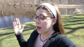 I am taking a gap year.