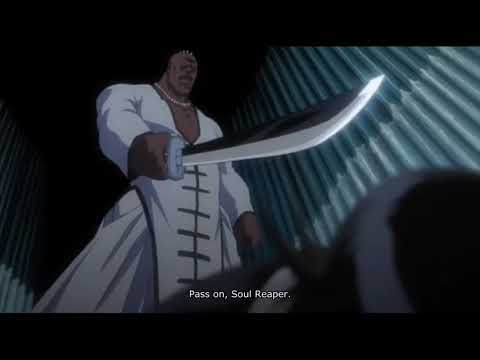 Bleach - Byakuya vs. Zommari [FULL FIGHT]