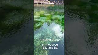 【鹿児島】湧水町の丸池から不思議なパワーをもらえる動画#SHORTS