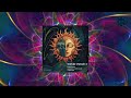 NOIYSE PROJECT- Resilient (Original Mix) [Till The Sunrise] [Organic House]