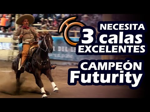 Caladero Futurity THV Champion 2023 - Juan Carlos Villaseñor - Millionaire Championship THV 2023