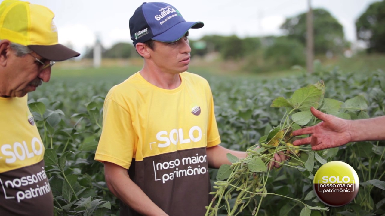 Resultados do Sulfato de Cálcio granulado na lavoura