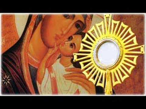 Fiel Pelicano- Toca de Assis