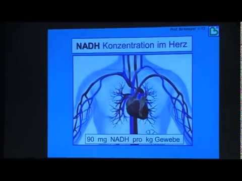 Birkmayer Schwarzenberg Lecture 2013