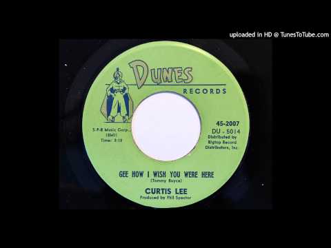 Curtis Lee - Gee How I Wish You Were Here (Dunes 2007) [1961]