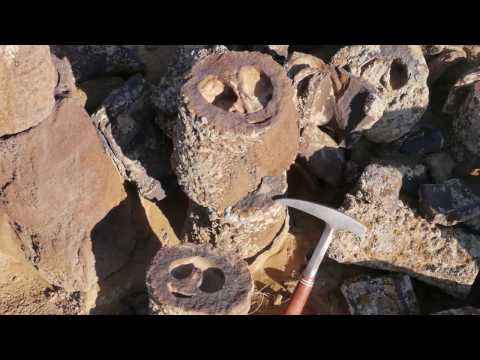 Каменные трубы пустыни Кызылкум
