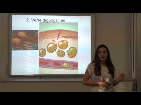 Wie funktioniert unser Immunsystem?