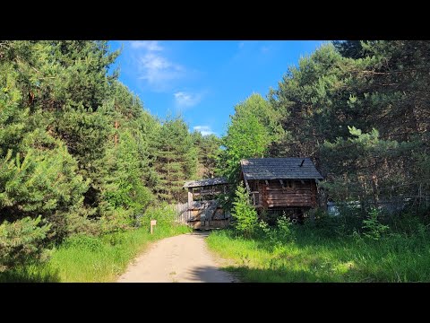 REAL Russia WITHOUT any PROPAGANDA / Little tourist base on Rybinsk reservoir 17062023