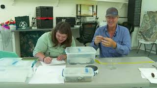 Eastern Kingsnake Project