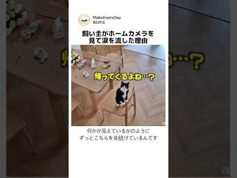 飼い主がホームカメラを見て涙を流した理由