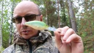 Itumo deep runner 800 f sp