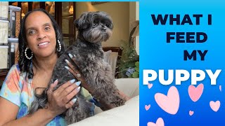 WHAT TO FEED a PICKY EATER DOG FOOD REVIEW Stella & Chewy’s 