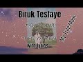 ክብሬ ሞገሰ ነሽ Biruk Tesfaye Best Song About Mother Lyrics Ethiopianmusic Song Music