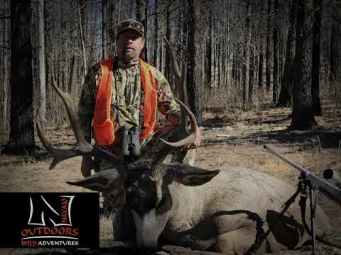 New Mexico Mule Deer Hunt