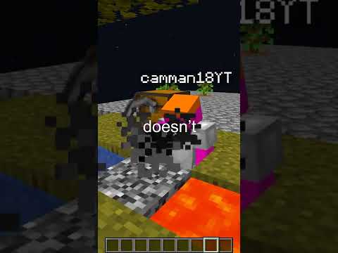 I Found camman18 on my Skyblock Server!