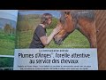 Formation &agrave; la communication animale