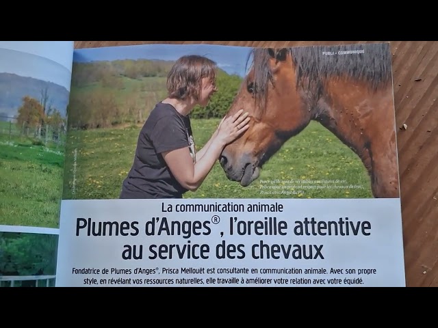 Formation &agrave; la communication animale