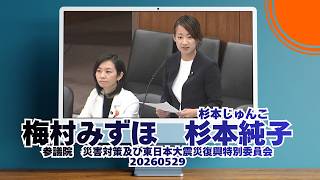 0:03から【梅村みずほ】15:27から【杉本じゅんこ】【杉本純子】参政党🍊参議院災害対策及び東日本大震災復興特別委員会🍊20260529　#梅村みずほ #杉本じゅんこ
