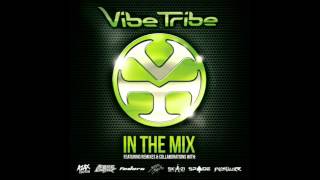 Vibe Tribe - In The Mix Vol.1