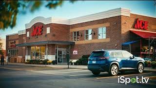 Ace Hardware Grills 2025