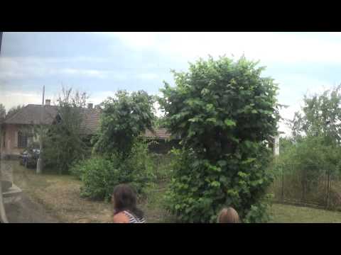 Trat/Linea/Railway Line - Trat 172 (25.7.2015)