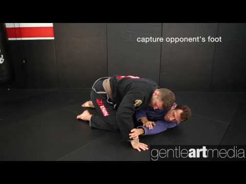 Eduardo Telles: Turtle guard sweep