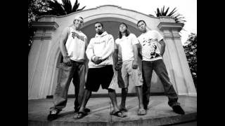 Rebelution - Change the System