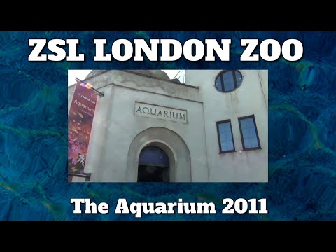 ZSL London Zoo Aquarium. 2011