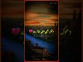 Matlab Ki Duniya Mai Urdu Sad Shayari Shorts Poetry Status