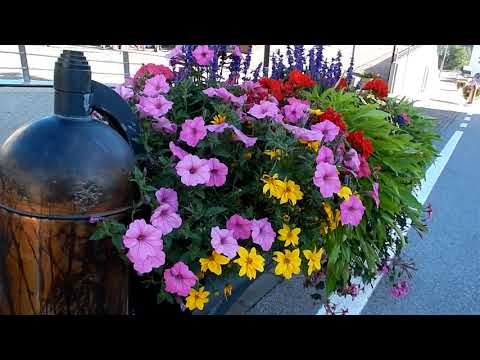 FOLGARIA IN ALPE CIMBRA - TRENTINO 4K