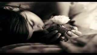 Luciano Ligabue   ho perso le parole