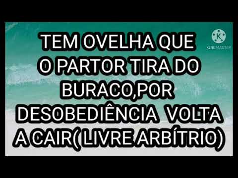 OVELHA REBELDE (( LIVRE ARBITRIO))