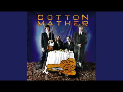 Mr. Should - Cotton Mather