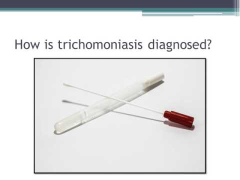 A pseudocoelomate testtervezésű aschelminthes