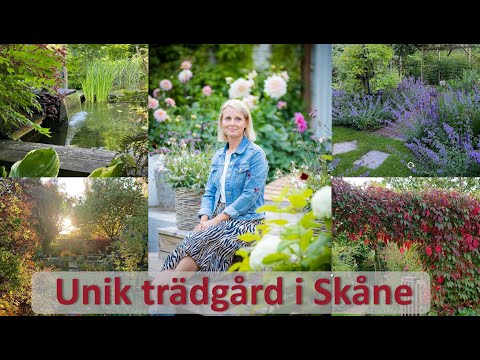 Unik trädgård med trädgårdsinspiration. Trädgårdsdesign. Tusen trädgårdar. Trädgårdsidéer.