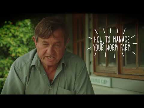 Tumbleweed Worm Farming Tutorial