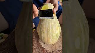 Download lagu #farming #enjoyrurallife #naturerurallife #rurallife #vegetables #garden #rogator #short mp3