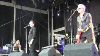 MARC ALMOND / Torch (Soft Cell) , Live @ W-Festival, August 23rd 2016, Belgium