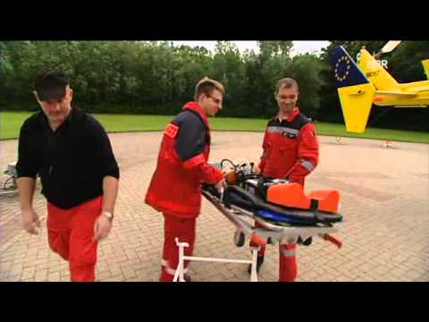 Die fliegenden Engel der Kueste 1 von 2