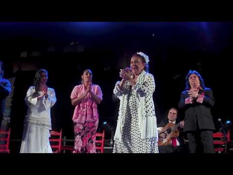 "SABOR A MLAGA". FESTIVAL DE FLAMENCO CIUDAD DE MLAGA