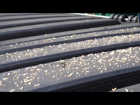 Fly Makes Its Home on Dumpster in Shrewsbury, NJ