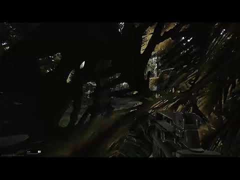 Tarkov | Wipe | Woods map